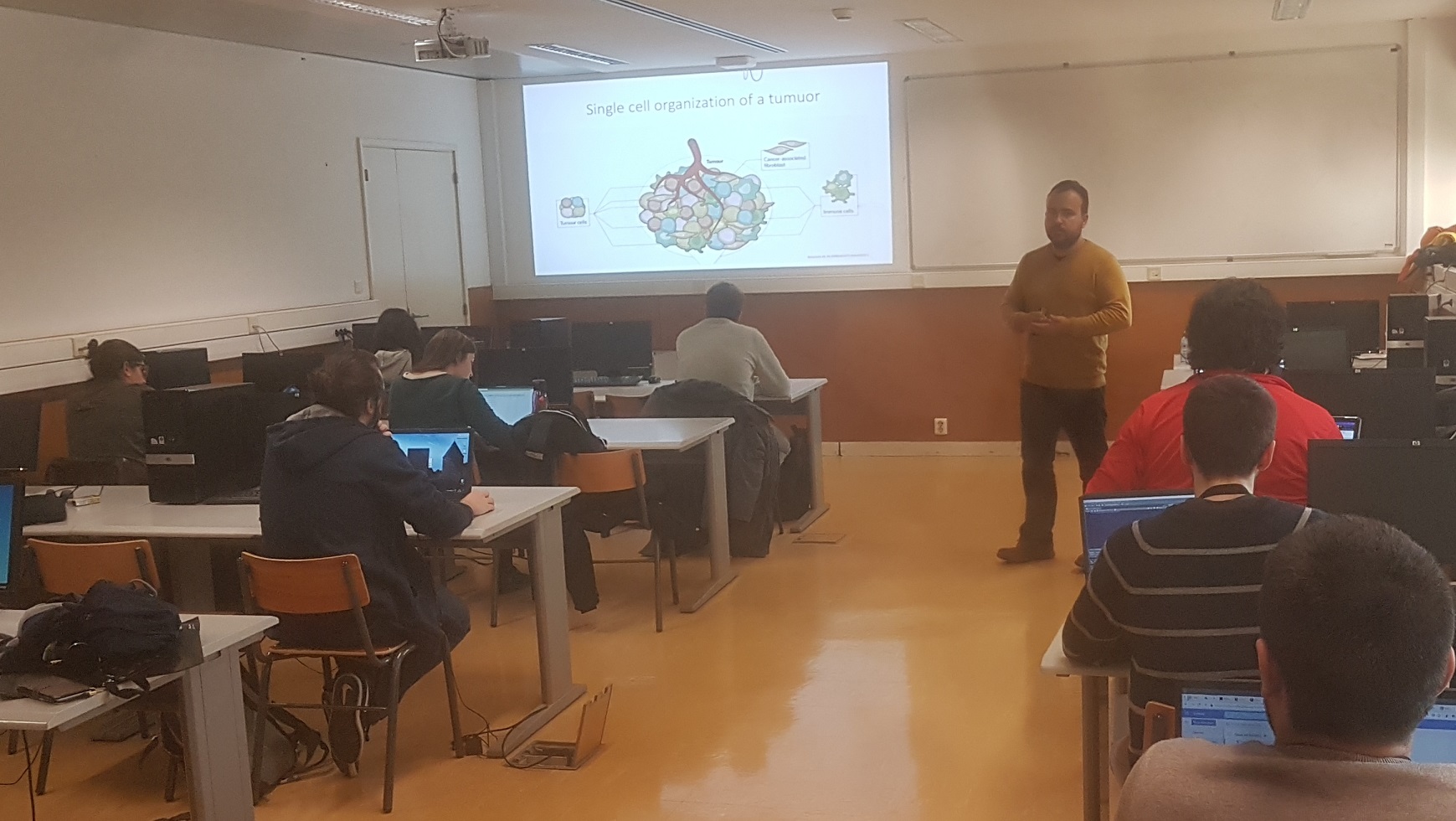 Single-cell RNA-Seq analysis using a Seurat based graphical interface by Ricardo Leite